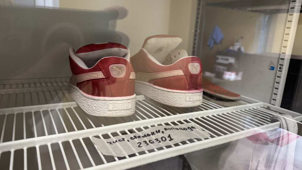 Сушка обуви